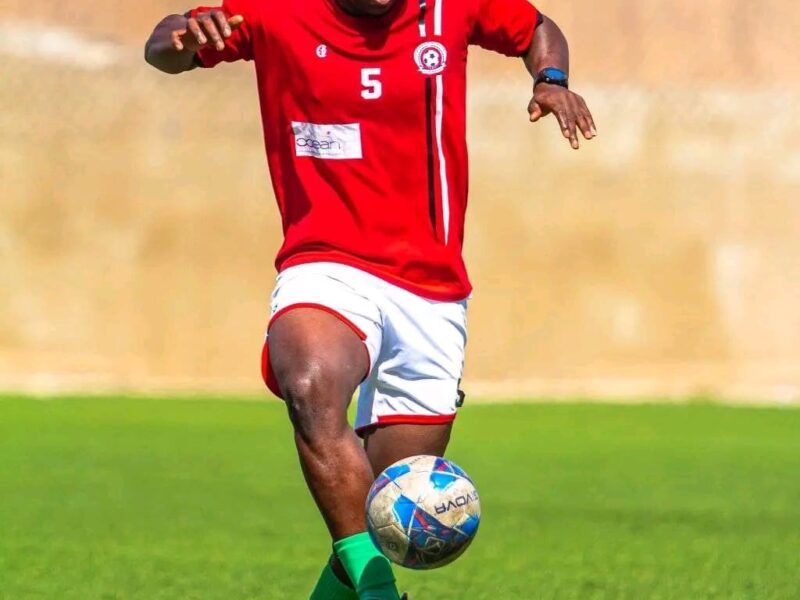 CHEIKHOU DIALLO